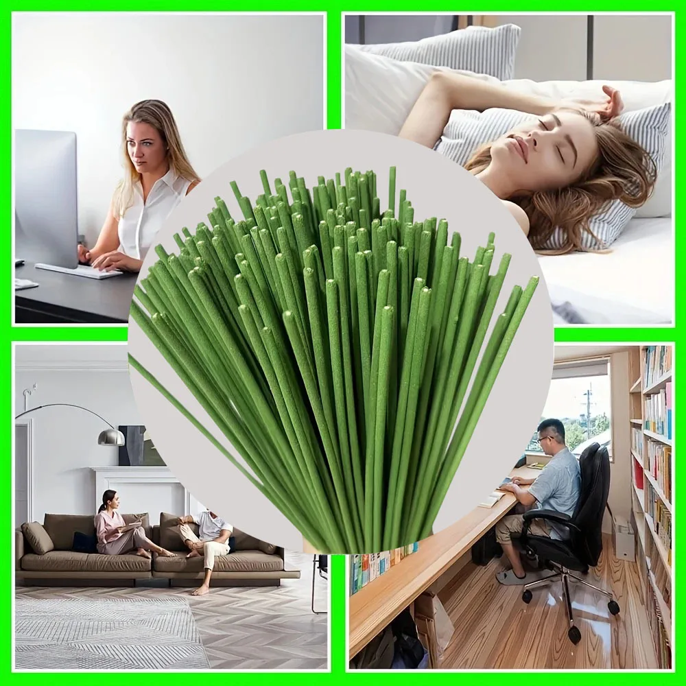 Home Fragrance Diffuser Sticks - 레드 디퓨저 스틱 레몬그라스 아로마테라피 대나무