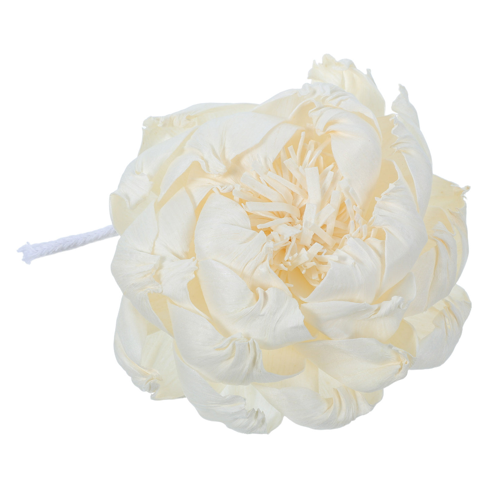 모란꽃 향 디퓨저 12cm 인조 모란꽃 향기로운 장식용 - Fragrance In Home 리뷰 및 가격