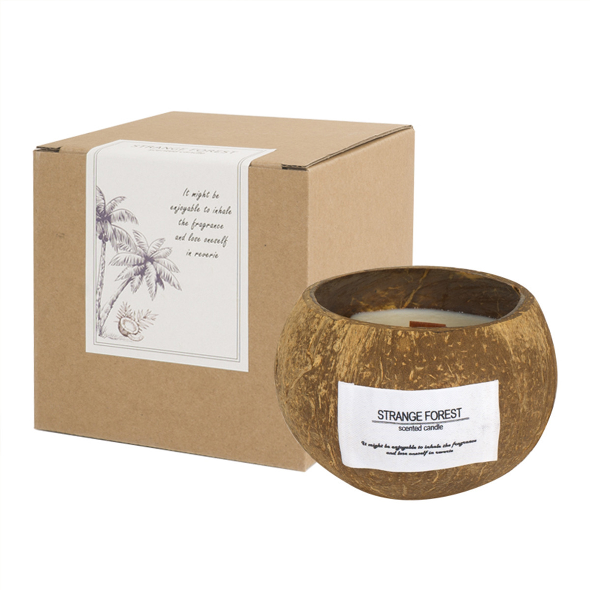 코코넛 껍질 아로마테라피 양초 에센셜 오일 향수 프리미 - Home Fragrance Wax Melts 리뷰 및 가격