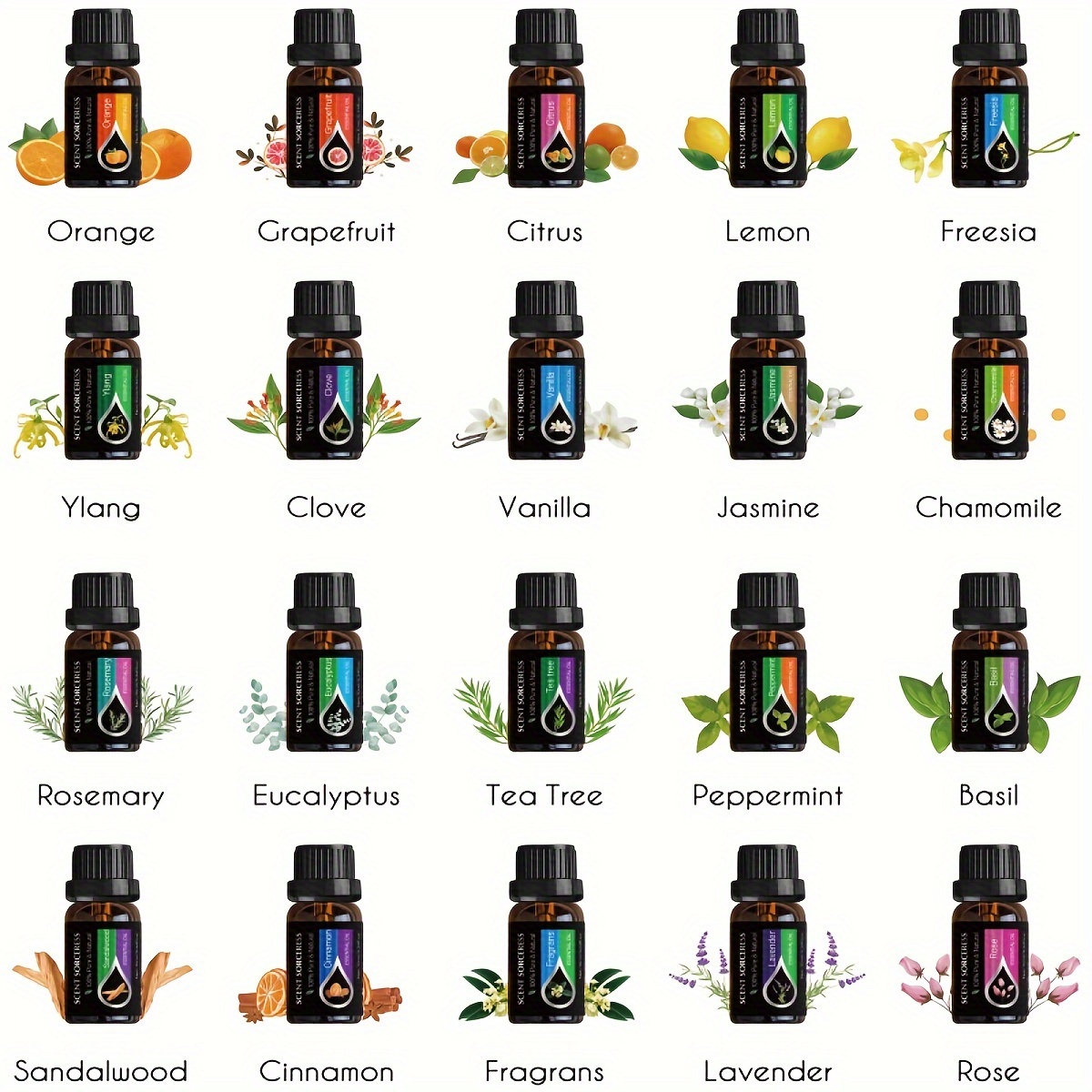20개/세트 클래식 브랜드 에센셜 오일 세트 라벤더 유 - Fragrance Oil Set 리뷰 및 가격