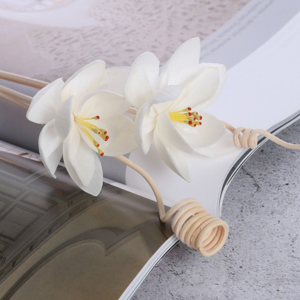 다용도 5cm 천연 수제 향료 거실용 가정용 아로마 향 - Home Fragrance Incense Sticks 리뷰 및 가격