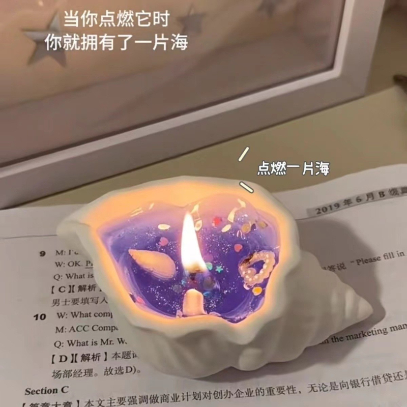고체 에센셜 오일 왁스 멜트, 독창적인 조개 모양 양초 - Home Fragrance Wax Melts 리뷰 및 가격